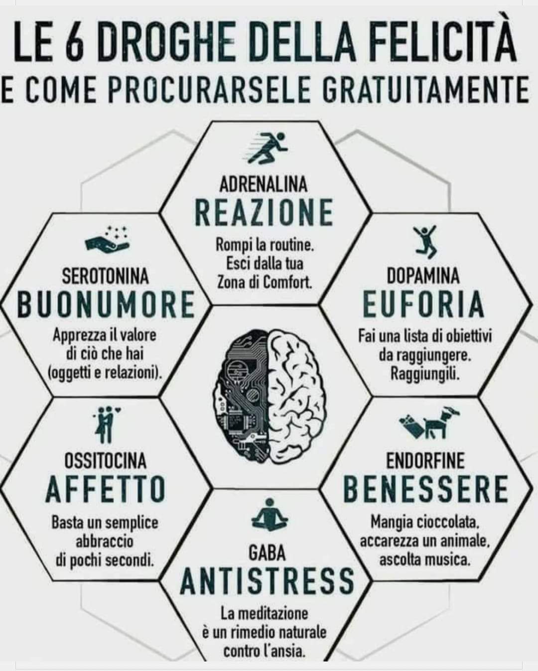 LA MIGLIORE MEDICINA DEL MONDO